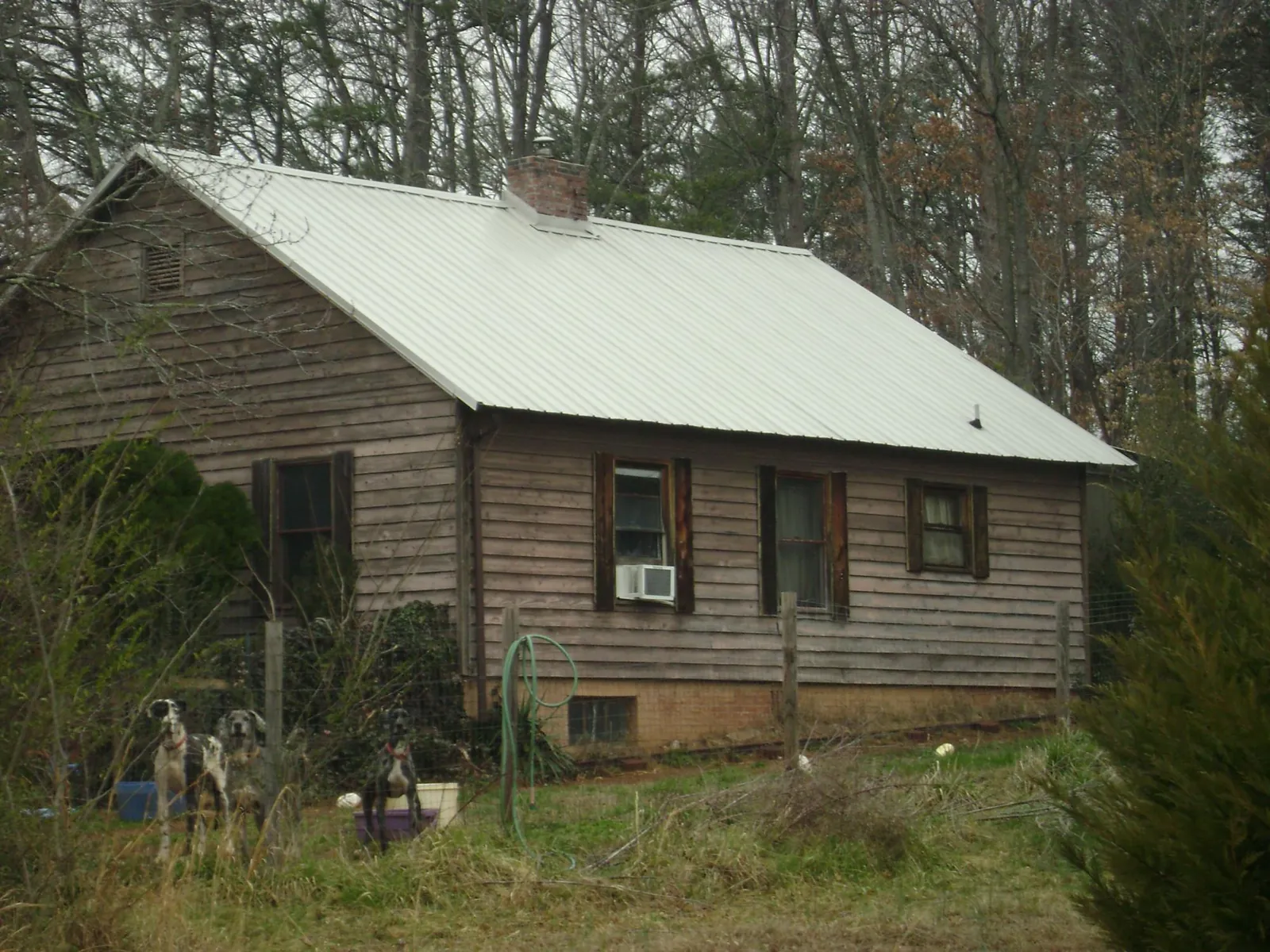 White metal roof on an old wood sided farmhouse, from a Asphalt Shingle Roof Repair job in Ottine